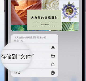 朗县apple维修中心分享iPhone文件应用中存储和找到下载文件