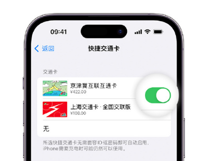 朗县apple维修点分享iPhone上更换Apple Pay快捷交通卡手绘卡面 