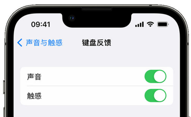 朗县苹果手机维修分享iPhone 14触感键盘使用方法 