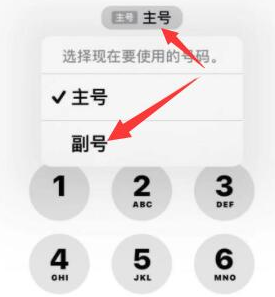 朗县苹果14维修店分享iPhone 14 Pro Max使用副卡打电话的方法 