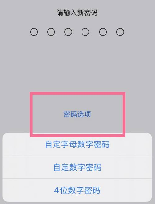 朗县苹果14维修分享iPhone 14plus设置密码的方法 