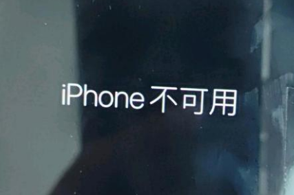 朗县苹果服务网点分享锁屏界面显示“iPhone 不可用”如何解决 