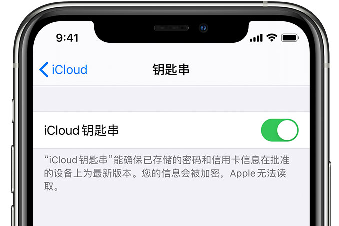 朗县苹果手机维修分享在 iPhone 上开启 iCloud 钥匙串之后会储存哪些信息 