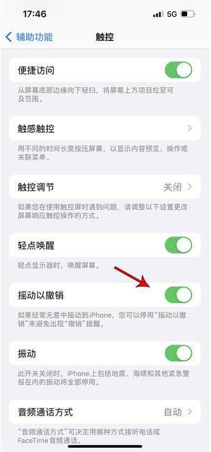 朗县苹果手机维修分享iPhone手机如何设置摇一摇删除文字 