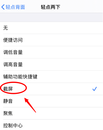 朗县苹果手机维修分享iPhone12如何启用双击截屏 